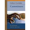 Camminare. Vie, deviazioni, crocevia, viae crucis