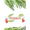 Pasqua