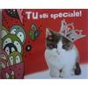 Tu sei speciale!