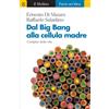 Dal Big Bang alla cellula madre