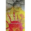 Dov'è il tuo tesoro?