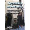 All'ombra del Vesuvio. Santa Maria Francesca delle Cinque Piaghe, patrona delle famiglie.