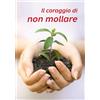 Il coraggio di non mollare