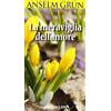La meraviglia dell'amore