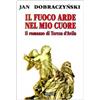 Il fuoco arde nel mio cuore. Il romanzo di Teresa d'Avila
