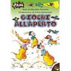 Giochi all'aperto
