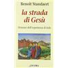 La strada di Gesù. Itinerari dell'esperienza di fede