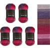 Wollbiene Summer Touch Batik, 5 gomitoli di lana da 100 grammi, multicolore con gradiente, 500 g di lana mercerizzata in microfibra acrilica (508 viola-viola)
