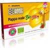 ARKOFARM Srl Arkopharma Pappa Reale Bio 500mg 10 Fiale