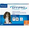 Virbac effipro dog- small 2-10 kg; confezione da 4 pipette