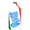 Big Gino Dry Gin (Limited Edition 2021) - Roby Marton 100cl