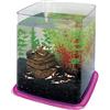 ICA pt073e Bettera Betta Battle Paradise