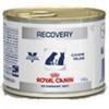 Royal Canin Italia Veterinary Diet Wet D&c Recovery 195 G