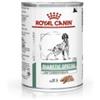 Royal Canin Italia Veterinary Diet Wet Dog Diabetic Special Low Carbohydrate 410 G
