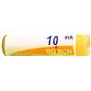 Boiron Gelsemium Semp 10000k Gl 1g