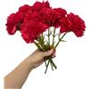 Rikyo Bouquet da 10 garofani a stelo da 25,5 cm, non sbiadiscono, mini petali di seta di garofano, fiori finti per sempre, piante per foto, oggetti di scena, feste e decorazioni per matrimoni (rosso-10)
