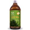 SALUGEA (RELOAD Srl) Salugea Succo Aloe Vera Bio 500ml