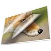 Kangaro - Pellicola per plastificazione, formato A4, 216 x 303 mm, 125 micron, 100 fogli
