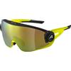 ALPINA Unisex - Adulti, 5W1NG Q Occhiali sportivi, pink-green-yellow matt, One Size