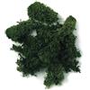 Rayher Muschio Islandese, Verde Scuro, Busta 1 kg, 8500313