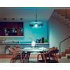 PHILIPS - SIGNIFY Philips Hue - White and Color ambiance Lampadina Smart E27 28815700