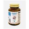 ALGILIFE Srls Dolomite Complex 100 Compresse
