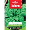 Blumen spinacio riccio america