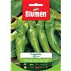 Blumen peperone friggitello