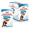 Royal Canin Maxi Puppy 10x140g