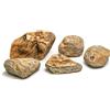 Aqpet Zen Stone Howloon Roccia Naturale Per Arredo In Acquario Formato Small/Medium