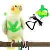 Dnoifne Pettorina e guinzaglio per uccelli per animali domestici, design regolabile anti-morso, corda in nylon per uccelli con ala carina per pappagalli, keck, mini ara e uccelli della stessa taglia (verde)