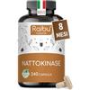 Raibu Nattokinase - Alto Dosaggio 100 mg (Nattokinase 20.000 FU/g) - Natto Giapponese da Soia, 8 Mesi di Fornitura - 240 Capsule, Testato in Laboratorio e Vegano - Senza Additivi