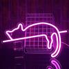 PILOYINDE Cat Neon Lights Led Sign Wall Decor Cat Neon personalizzato Luci al neon Usb per camera da letto Negozio Comodino Soggiorno Decorazioni da parete per feste