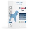 DYNAMOPET Srl Dynamo D bustine - Large - 20 bustine