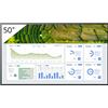 Sony FW-50BZ30L 50 Display