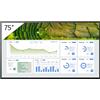 Sony FW-75BZ30L 75 Display