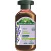 HENKEL ITALIA Srl ANTICA E SH LAVANDA 250 M