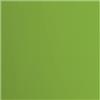 Vaessen Creative Cartoncino Florence Liscia - Materiali per Biglietti colorati 30,5 x 30,5 cm - Frog - 20 Fogli - Carta per Scrapbooking, Biglietti, Fustellatura e Progetti con Carta - 216 gsm - Verde