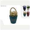 Due Esse Christmas Vaso con Manico Corda C/fiori 4 Colori Assortiti Prezzo Caduno