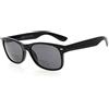 Eyekepper Classici Occhiali da Sole Bifocali Vintage da Uomo e da Donna, 093 Lenti Grigie, +1.50