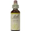 SCHWABE Bach Olive 20 ml
