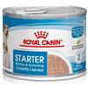 Royal Canin Dog Adult e Puppy Starter 195 gr