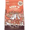 Lily's Kitchen Dog Puppy Pollo e Salmone 2,5