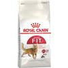 Royal Canin Cat Adult Fit 32 10