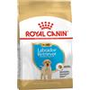 Royal Canin Dog Puppy Labrador Retriver 12