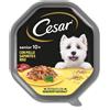 Cesar Dog Senior Pollo saporito e Riso in Gelatina 10+ 150 gr