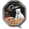 Cesar Dog Puppy Patè Vitello e Tacchino 150 gr