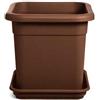 Erba Vaso Decor quadro cm 42 terracotta