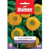 Blumen girasole bambino nano