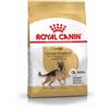 Royal Canin Crocchette per cani Royal canin german shepherd adult 11 Kg